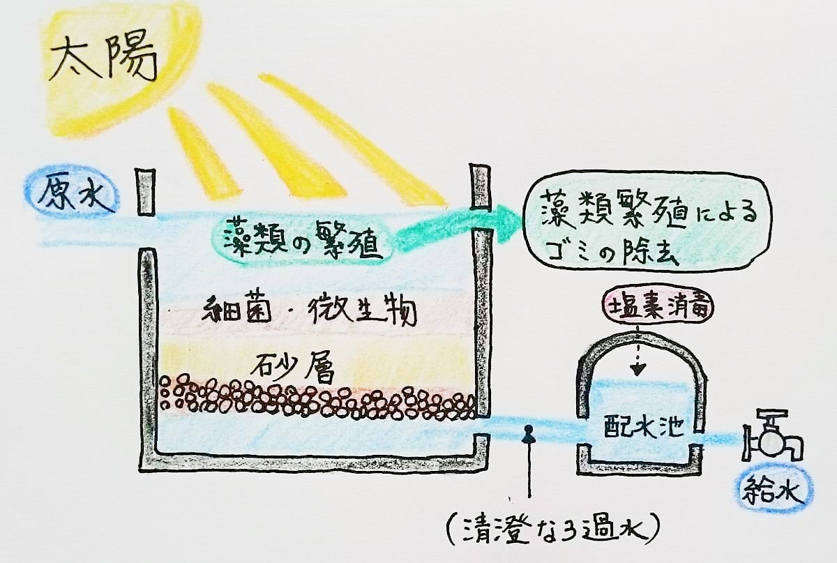 水道水の作り方 水道水はどのように作られているのか 急速ろ過 と 緩速ろ過 の違いとは 持続可能な農業 養殖ビジネス