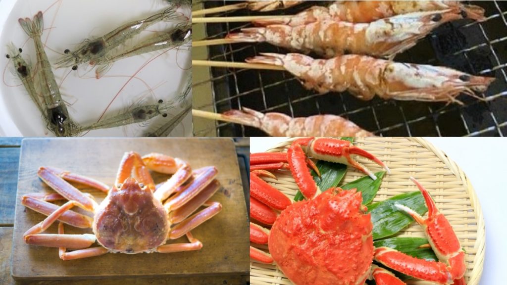 なんで エビ や カニ は赤くなるのか 持続可能な農業 養殖ビジネス なんで エビ や カニ は赤くなるのか 持続可能な農業 養殖ビジネス