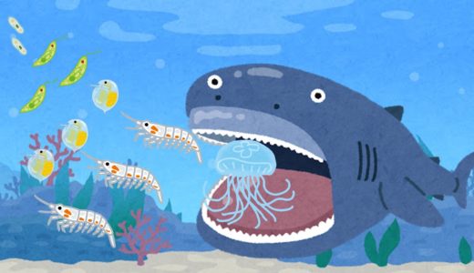「プランクトン」とは？「微生物」とは何が違うのか？